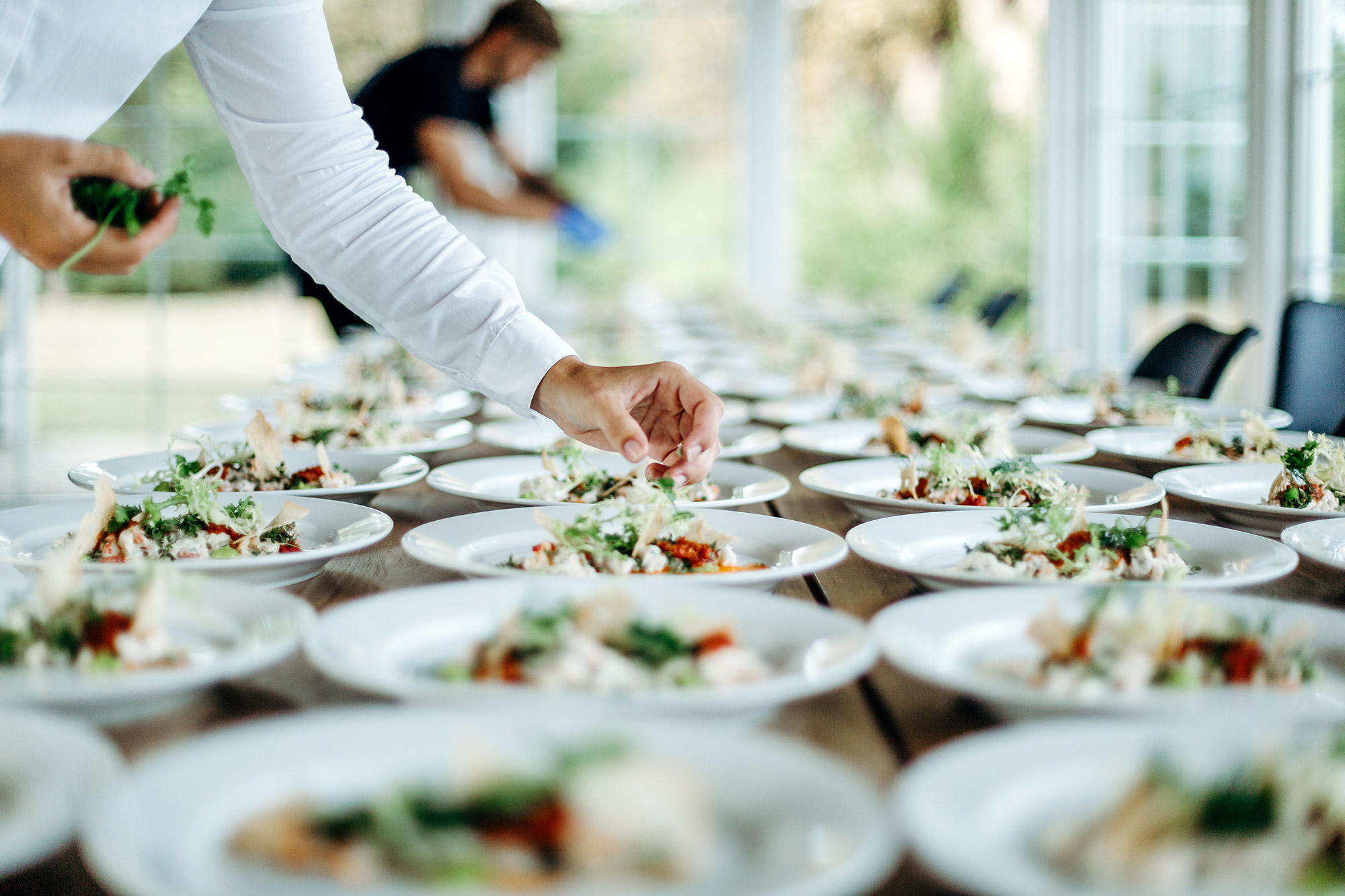 Bio-Catering