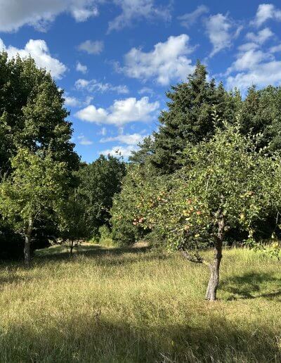 Obstwiese Verdura
